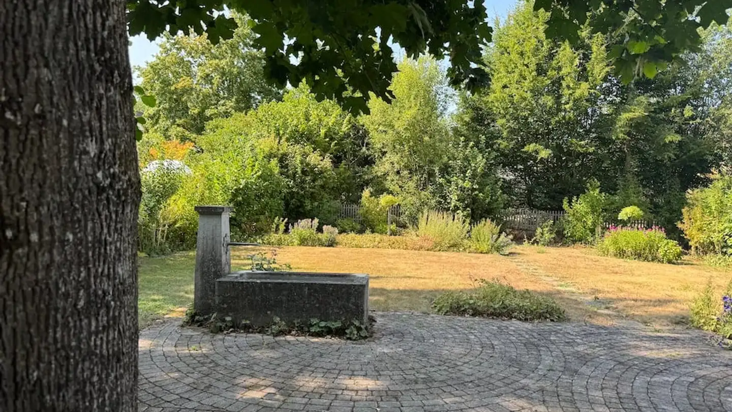 Einfamilienhaus kaufen - Ulmenweg 3, 5000 Aarau - Foto 4
