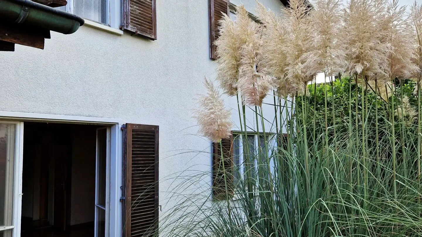 Maison individuelle à vendre - Parkweg, 5314 Kleindöttingen - Photo 3