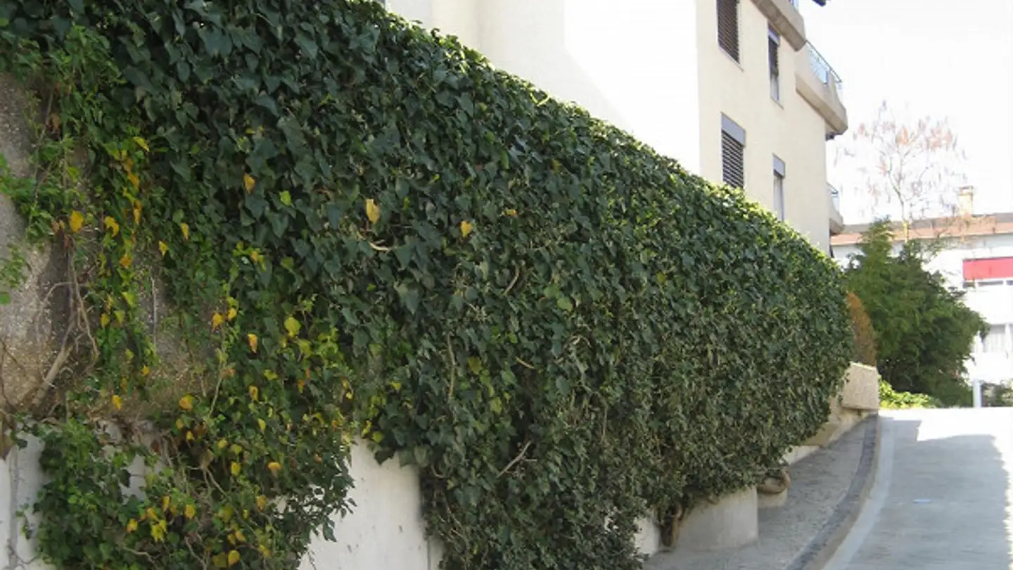 Appartement à louer - Bahnhofstrasse 4, 4552 Derendingen - Photo 3