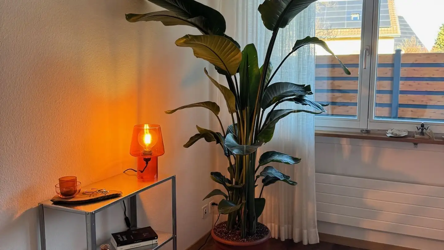 Single room for rent - Adlerweg 9, 3322 Urtenen-Schönbühl - Photo 4