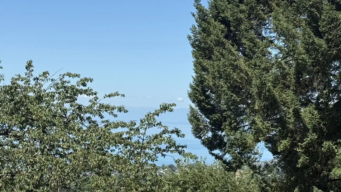 Constructible plot for sale - Sentier des Tollettes, 1807 Blonay - Photo 4