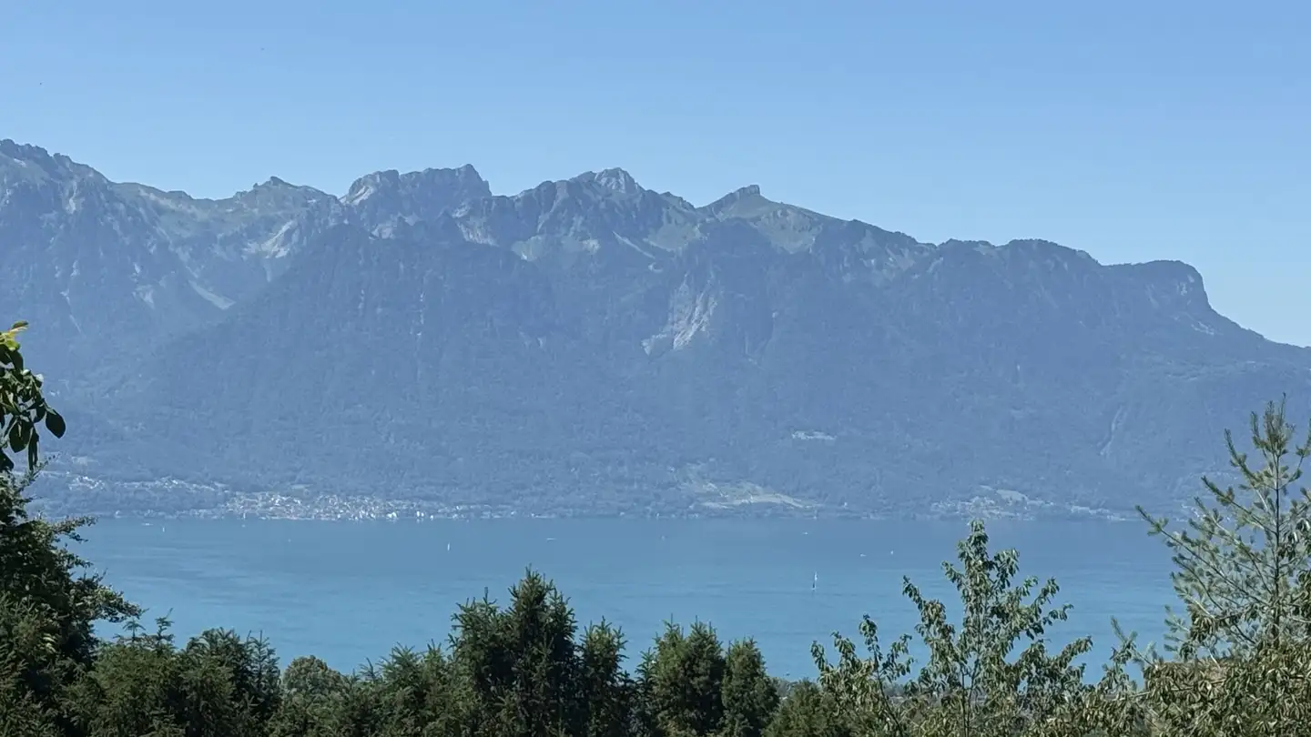 Constructible plot for sale - Sentier des Tollettes, 1807 Blonay - Photo 3