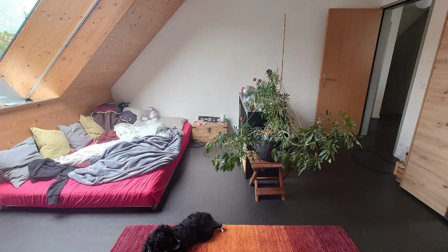Single room for rent - Römerstrasse 227a, 8404 Winterthur