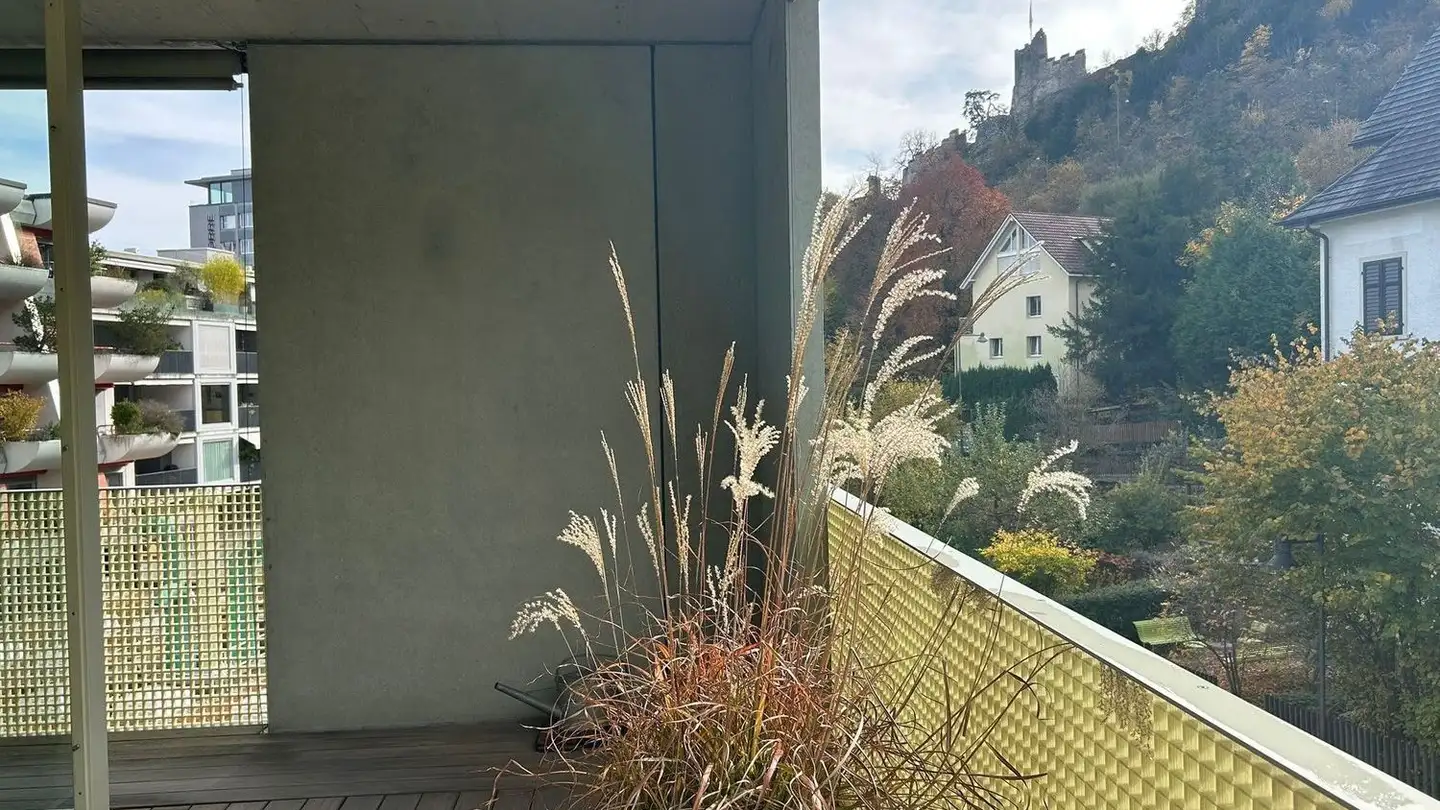 Appartamento in affitto - Martinsbergstrasse 8, 5400 Baden