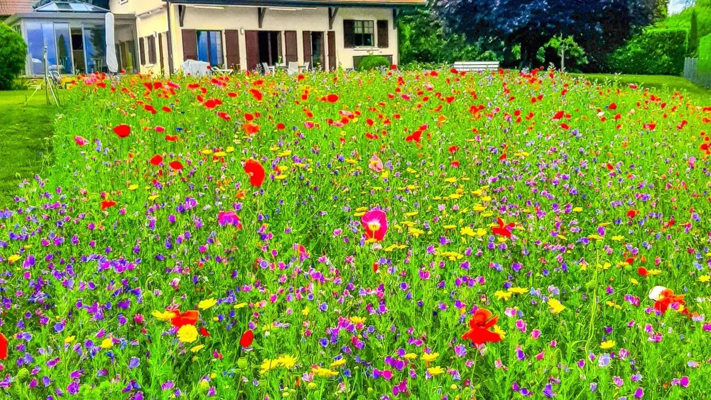 Casa singola in vendita - 1275 Chéserex - Photo 2