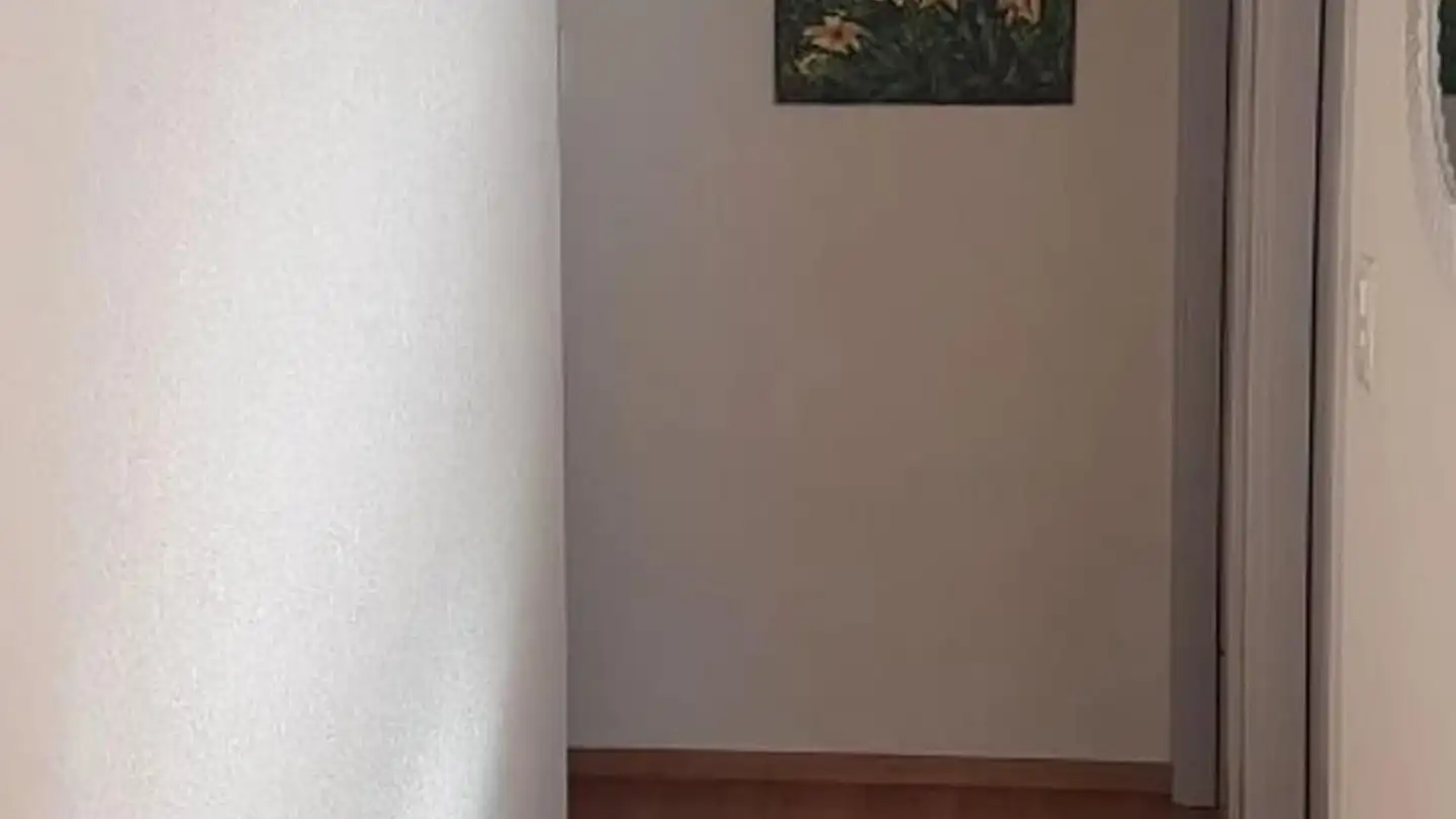 Appartamento in affitto - Avenue De Belmont 10, 1820 Montreux