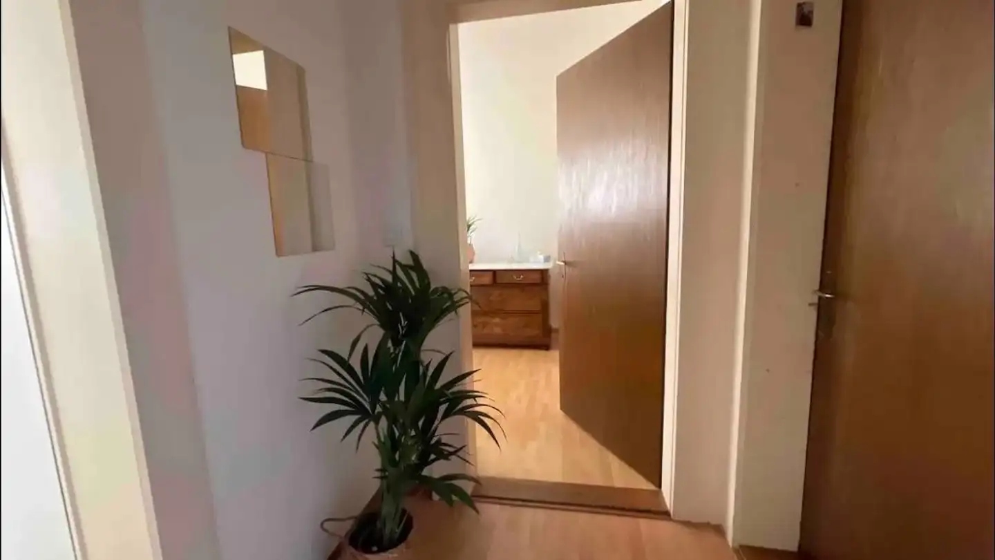 Stanza singola in affitto - 8004 Zürich