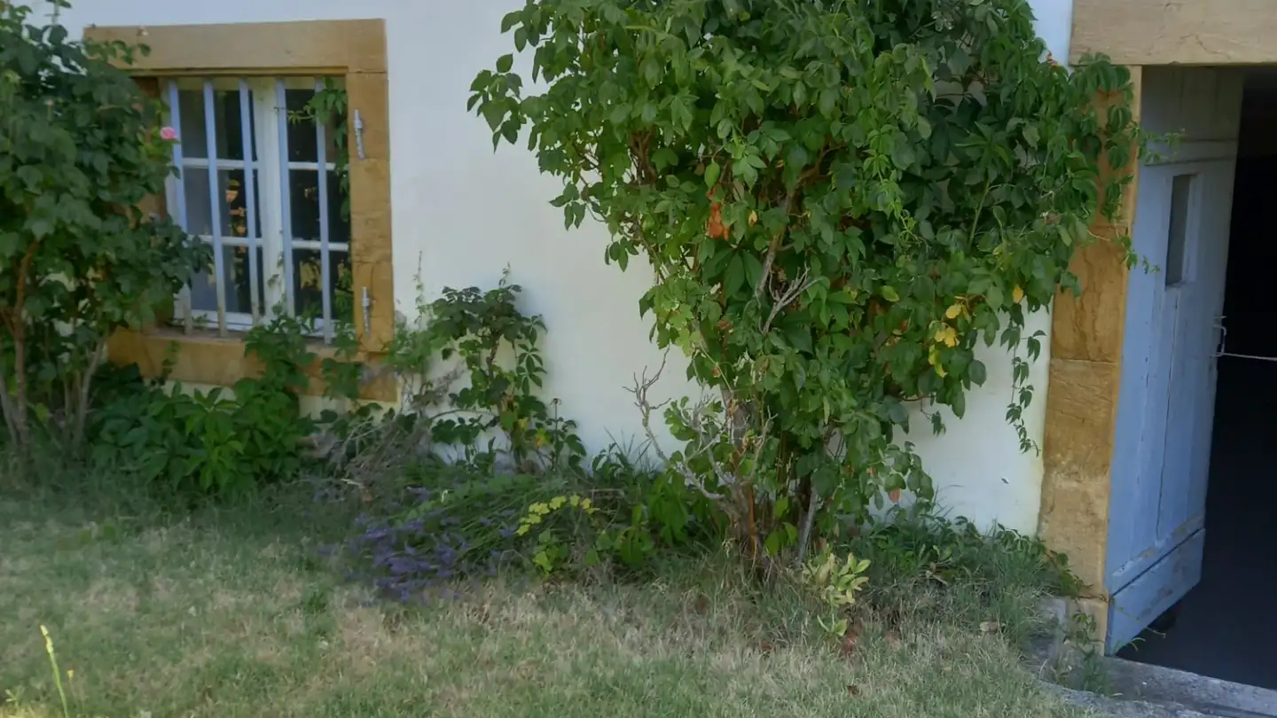Appartement à louer - 1400 Cheseaux-Noréaz - Photo 2
