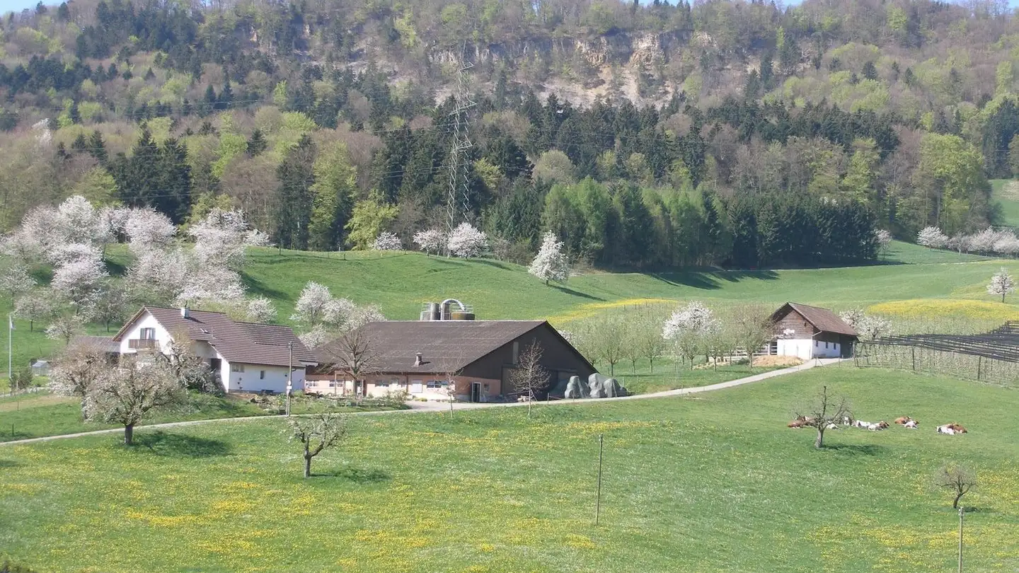 Wohnung mieten - Hauptstrasse 5, 4462 Rickenbach BL - Foto 2
