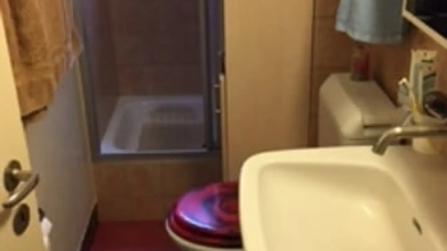 Wohnung mieten - Lindenstrasse 11, 8400 Winterthur - Foto 4