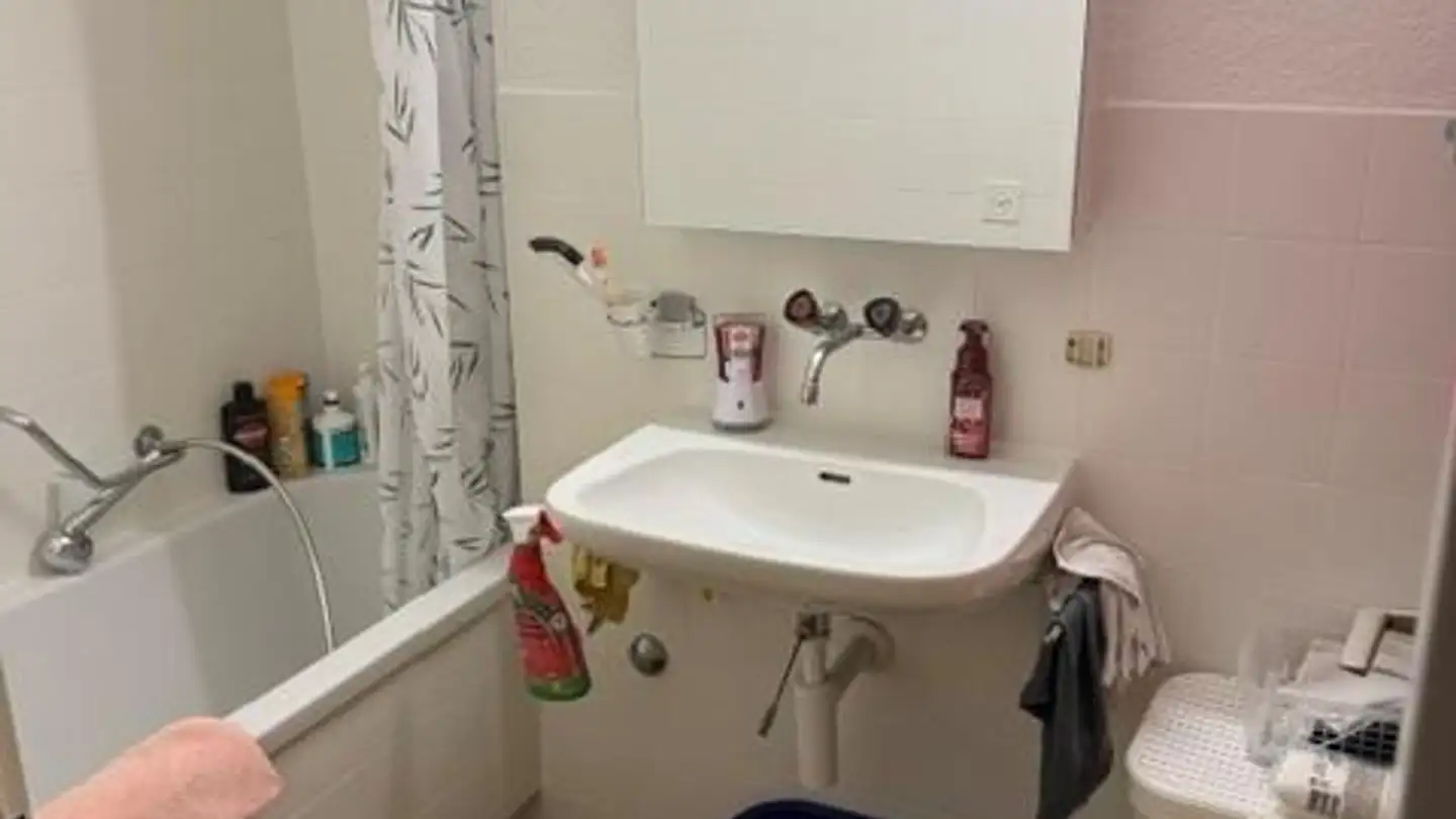 Apartment for rent - Glanzenbergstrasse 10, 8953 Dietikon - Photo 3