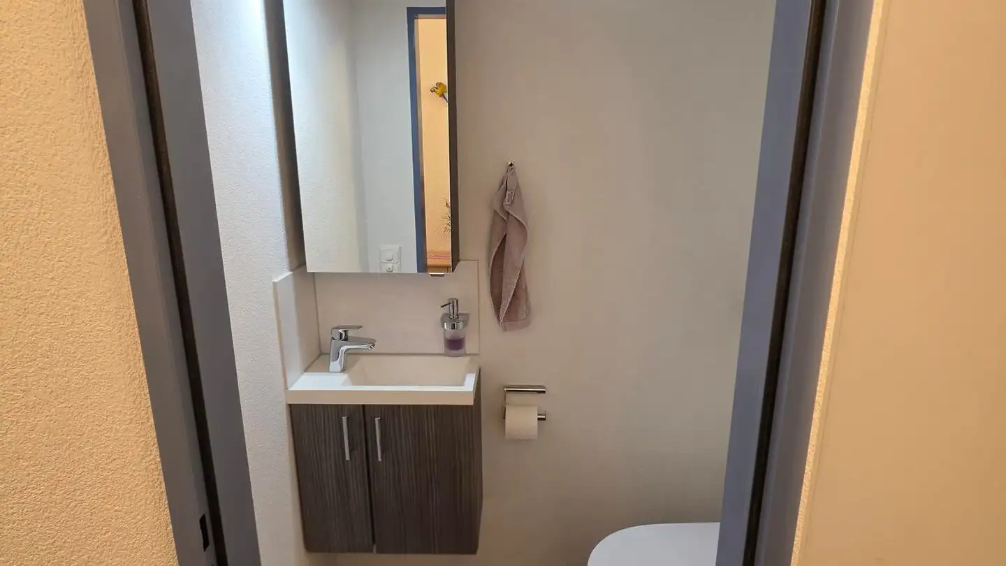 Wohnung kaufen - Salinenstrasse 32a, 4310 Rheinfelden - Foto 4