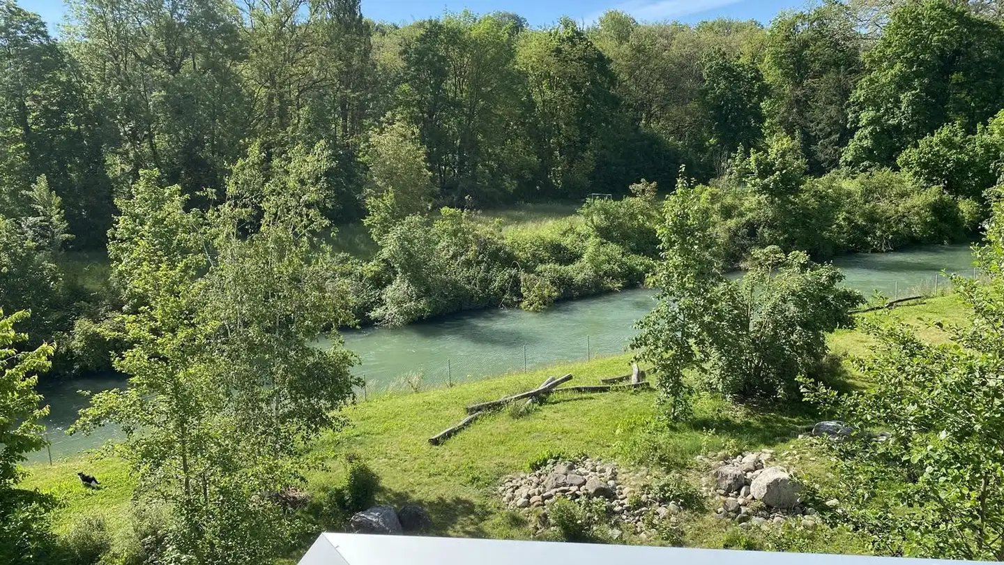 Appartamento in affitto - Spinnereistrasse 14, 5210 Windisch - Foto 2