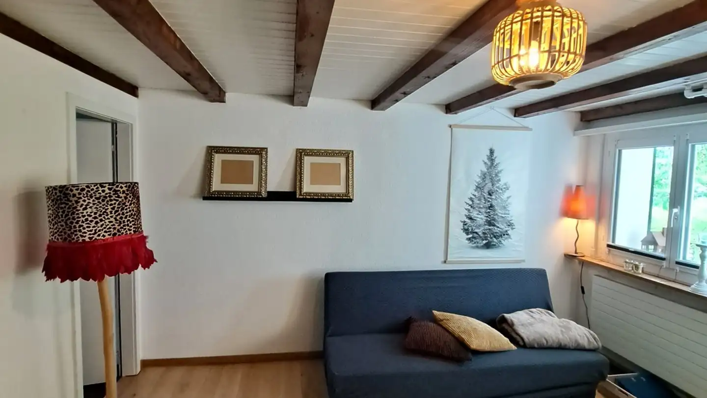 Appartamento in affitto - 8618 Oetwil am See