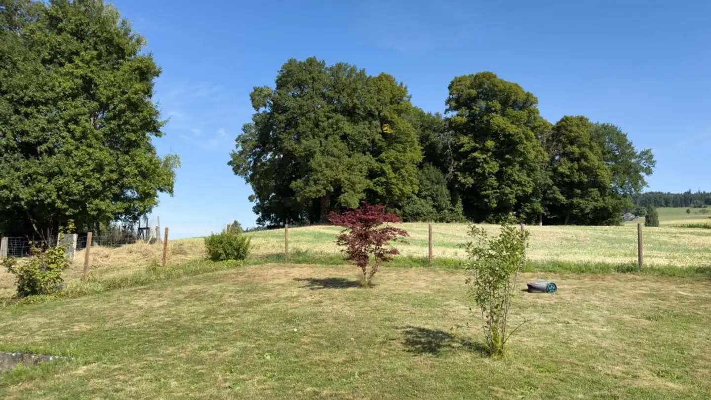 Duplex in affitto - Herrenwäldlirain 15, 3065 Bolligen - Photo 3