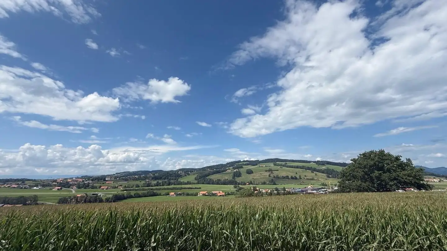 Casa singola in affitto - Route Des Colombettes, 1628 Vuadens - Photo 3