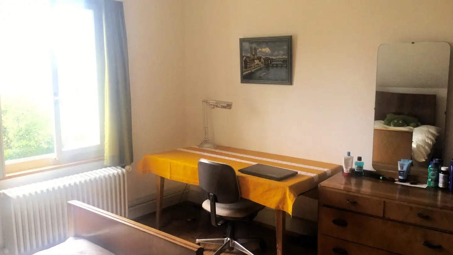 Single room for rent - Hönggerstrasse 27, 8103 Unterengstringen - Photo 4