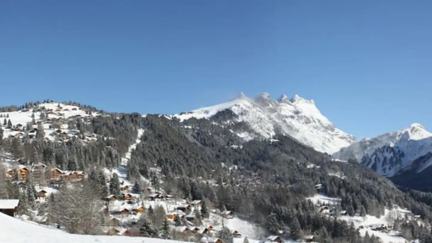 Constructible plot for sale - 1884 Villars-sur-Ollon - Photo 4