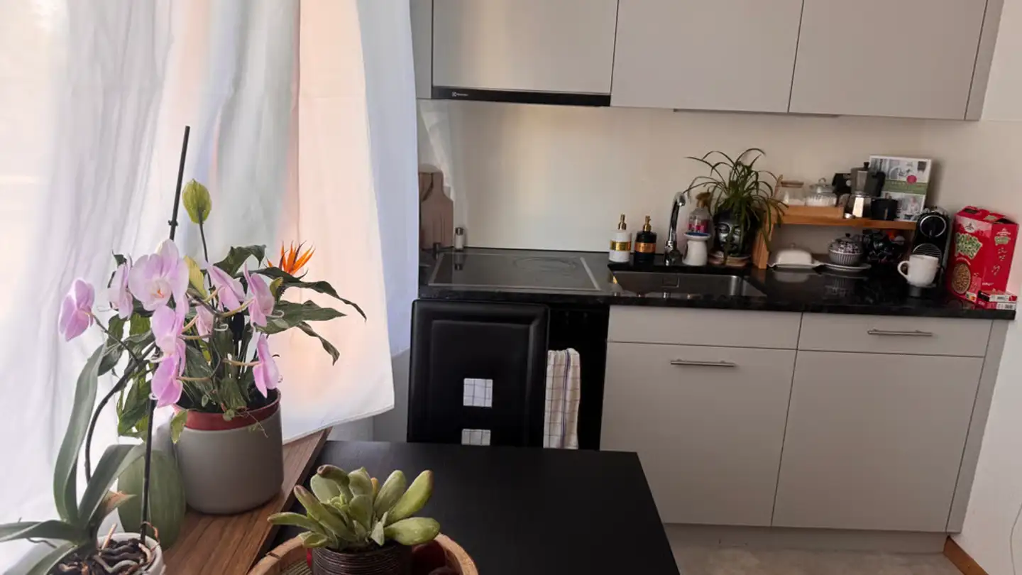 Appartement à louer - Baumgarten 6, 8632 Tann - Photo 4
