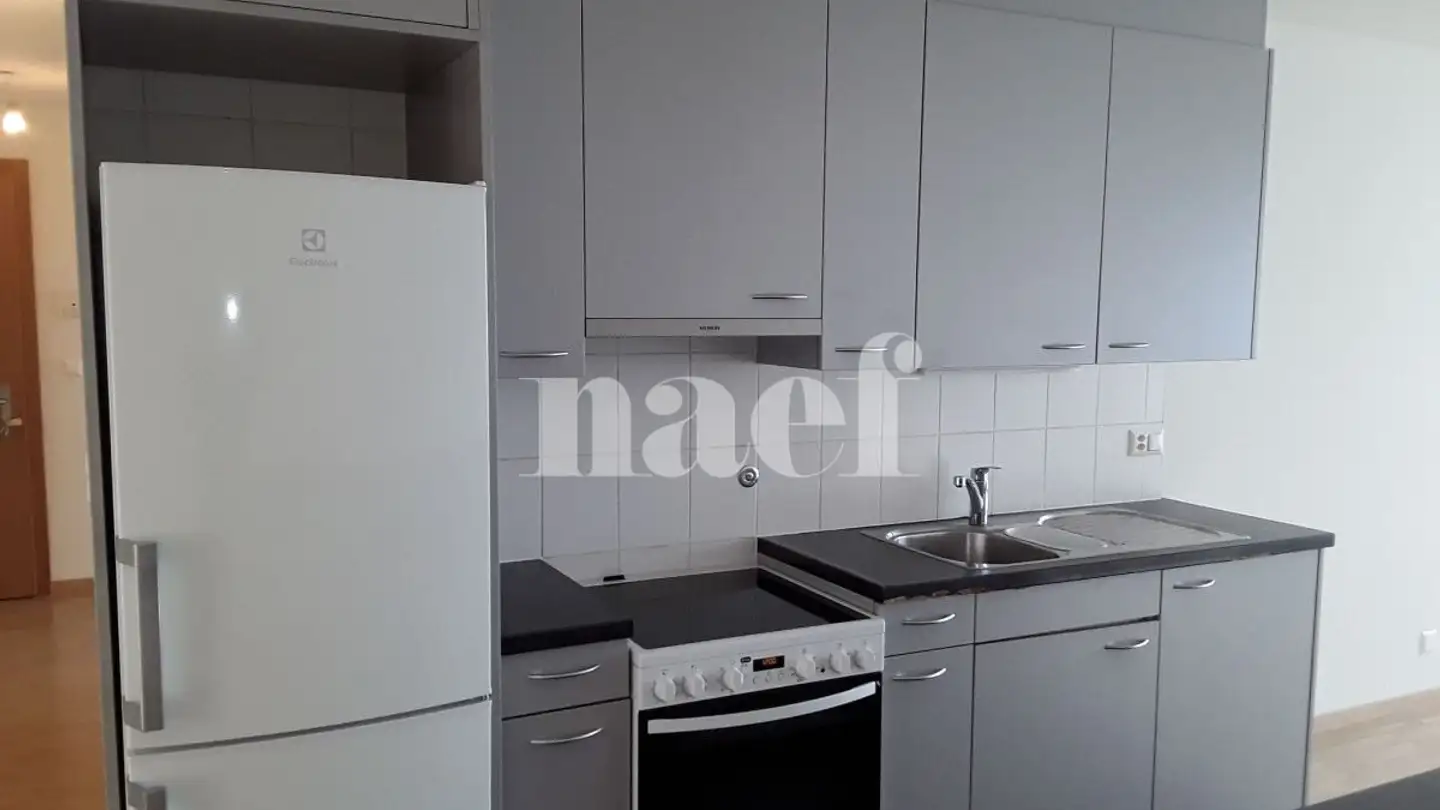 Appartamento in affitto - Route De Ferney 212, 1218 Le Grand-Saconnex - Photo 4