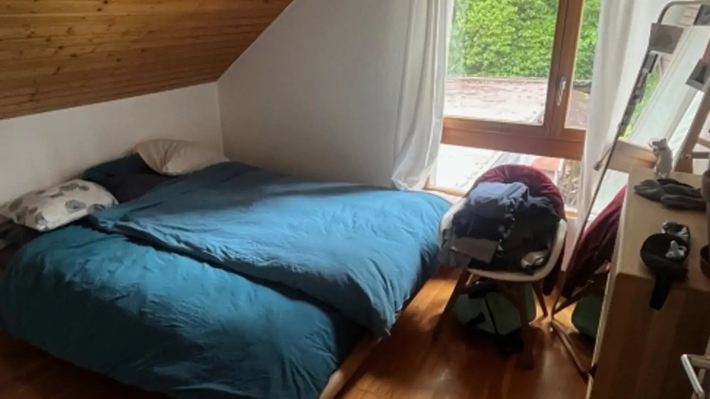 Appartamento in affitto - 1234 Vessy - Photo 3