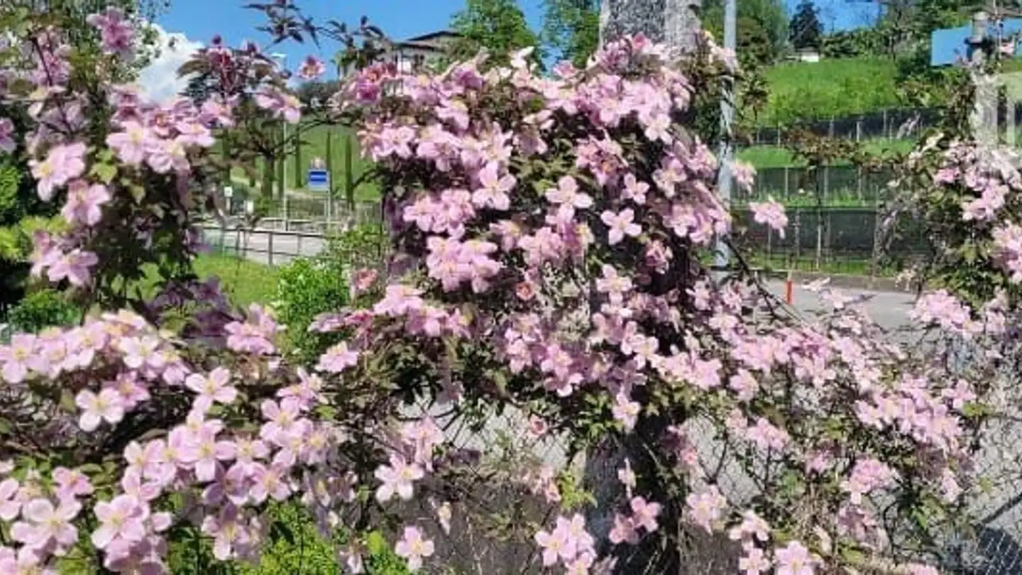 Appartamento in affitto - 6877 Coldrerio - Foto 3