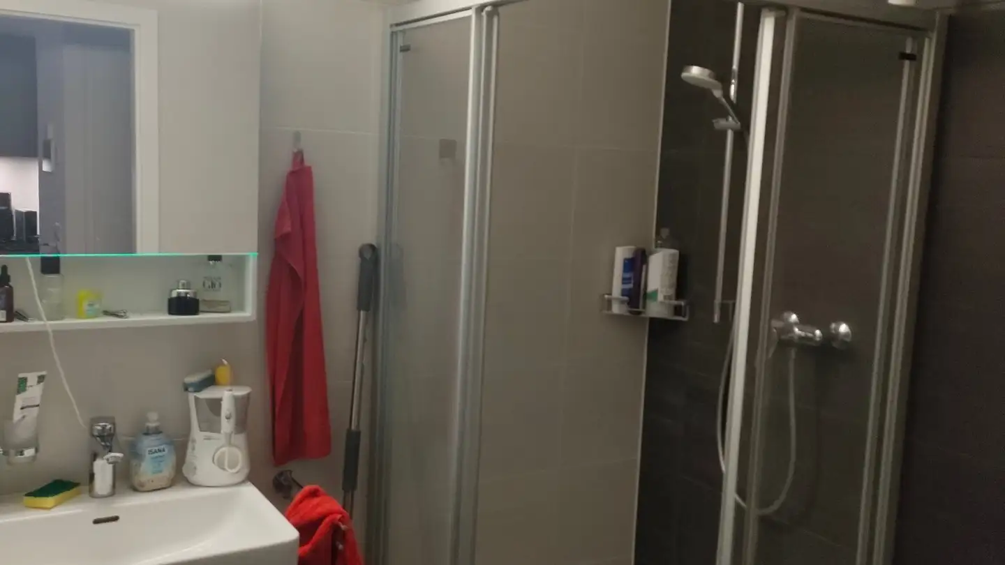 Appartement à louer - Rue Du Simplon 3a, 1880 Bex - Photo 2