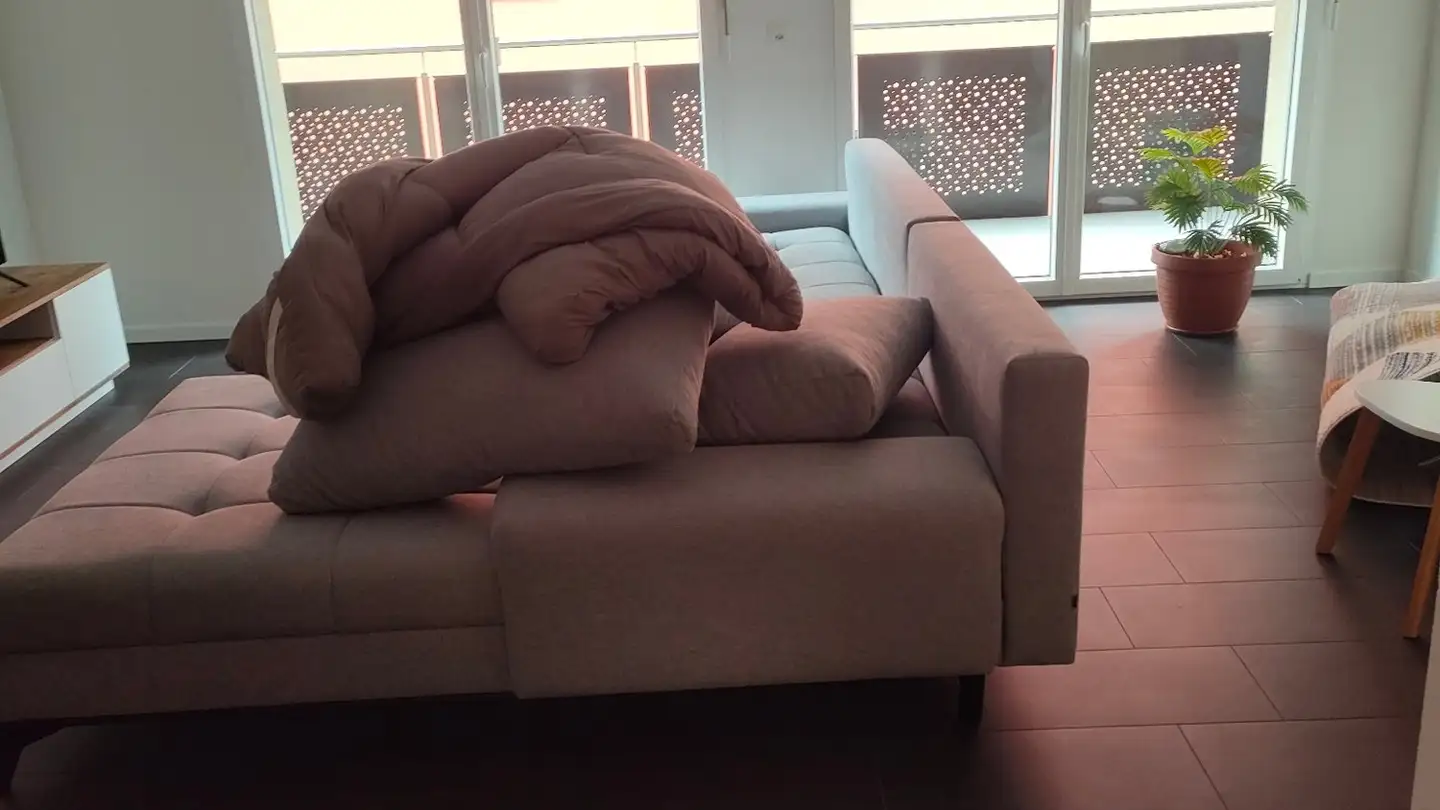 Appartement à louer - Rue Du Simplon 3a, 1880 Bex - Photo 3