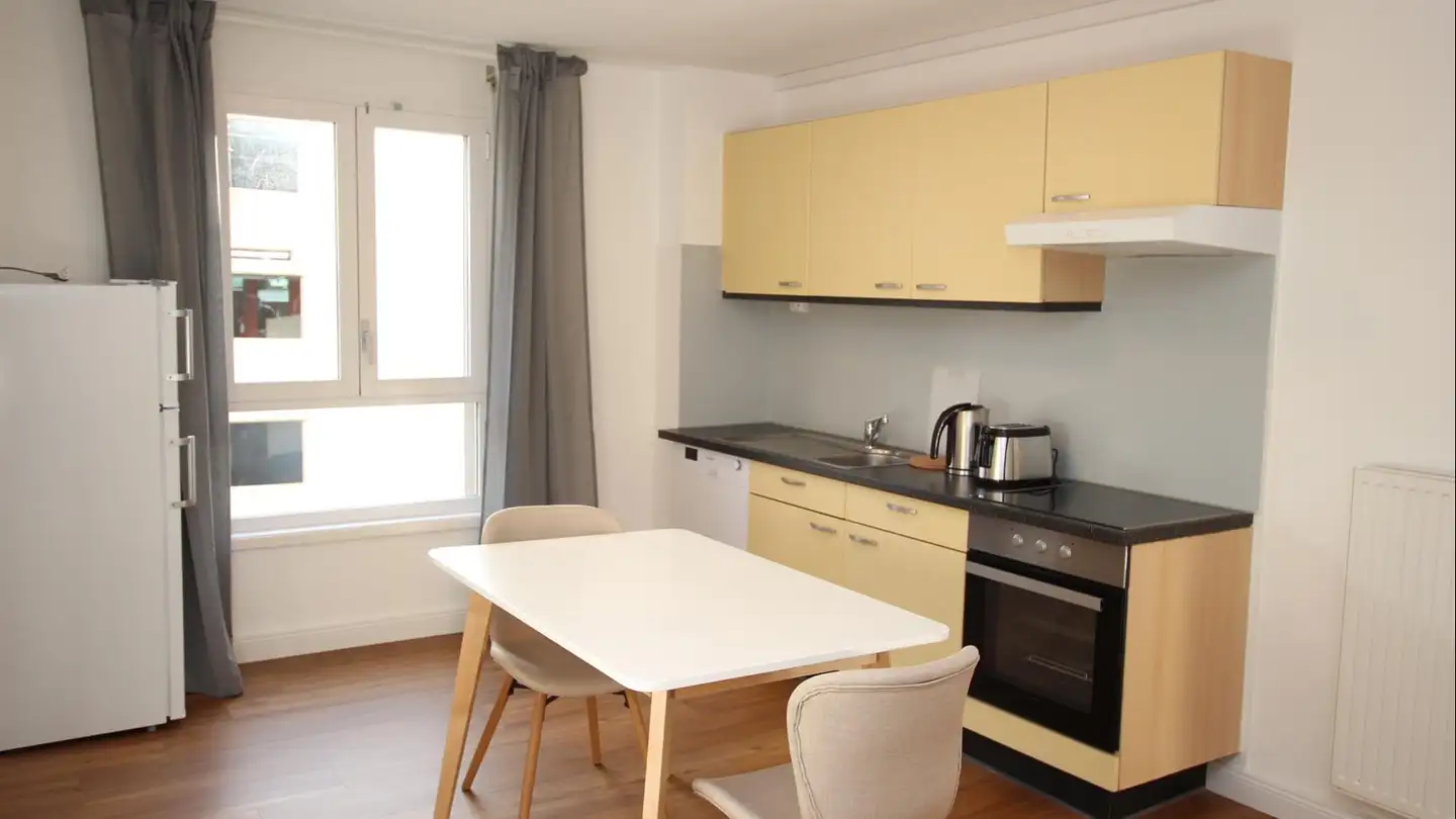 Furnished apartment for rent - Rue Sismondi 13, 1201 Genève