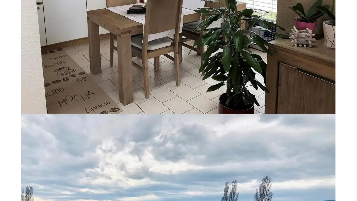 Appartamento in affitto - Chemin De Longet 1, 1031 Mex VD - Foto 3