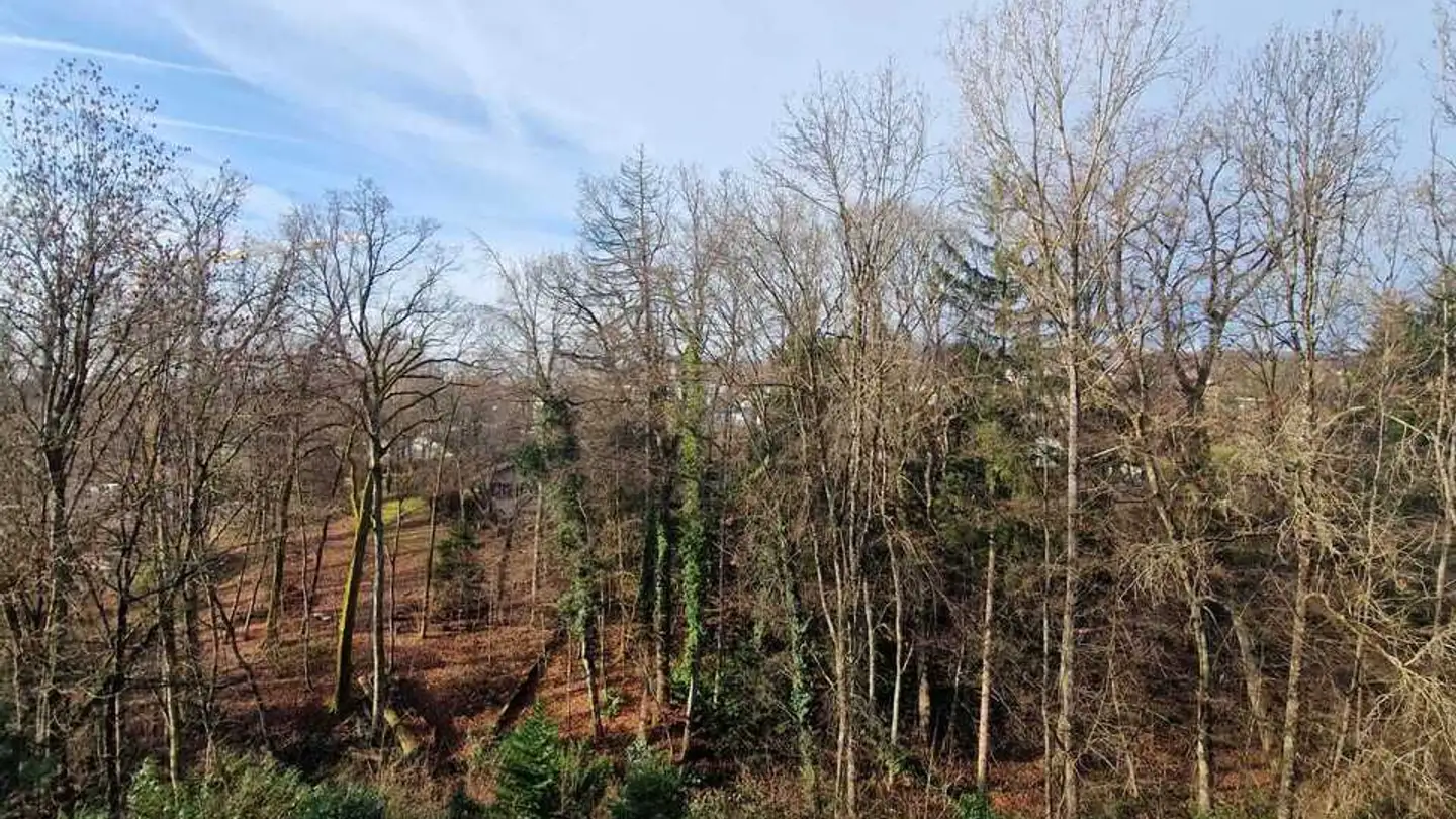 Wohnung mieten - Avenue De Valmont 7, 1010 Lausanne - Foto 2