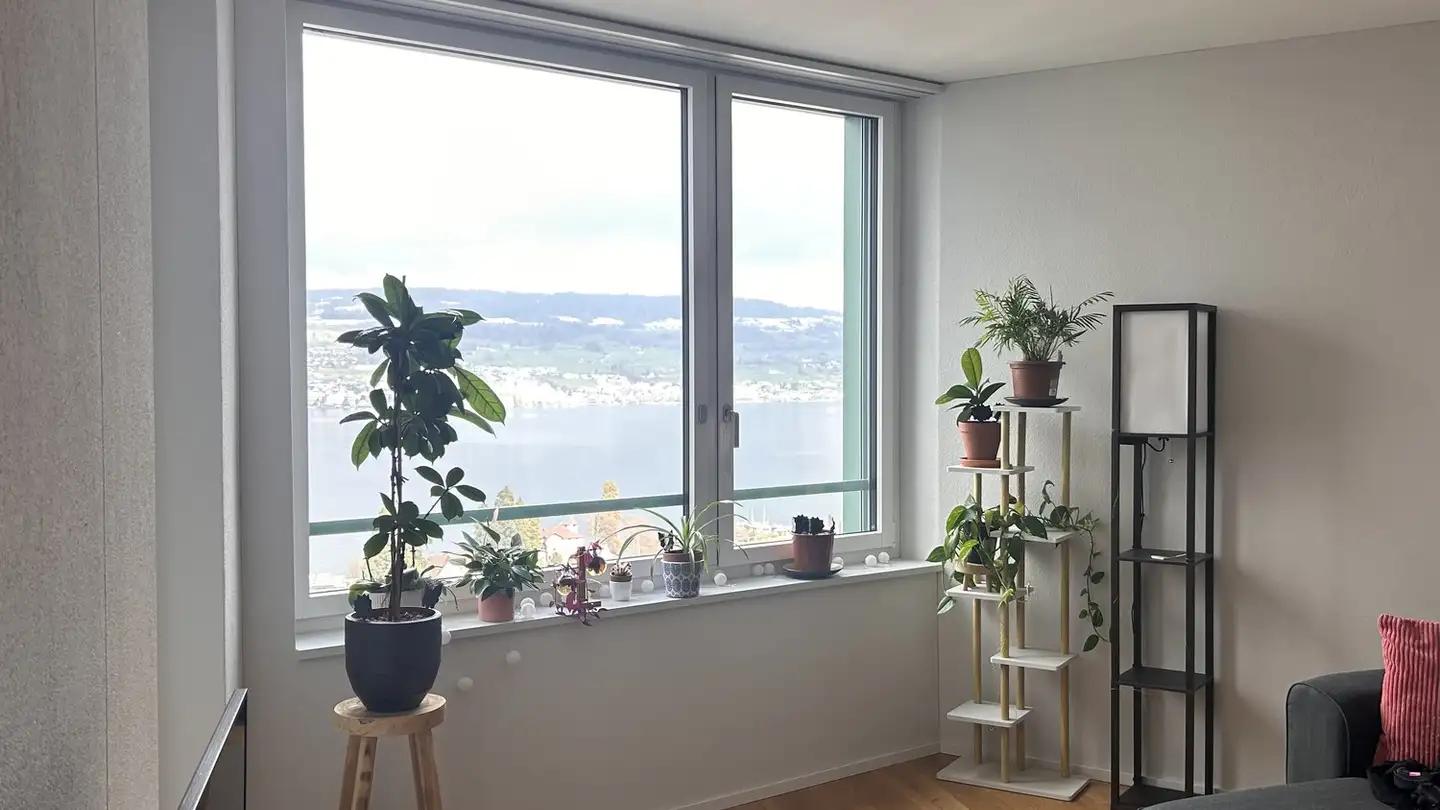 Appartamento in affitto - 8810 Horgen