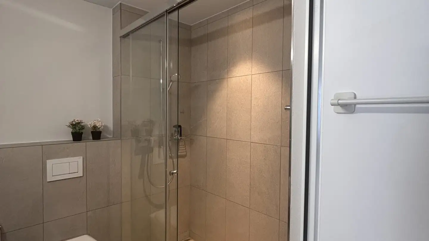 Appartamento in affitto - 8810 Horgen - Foto 4