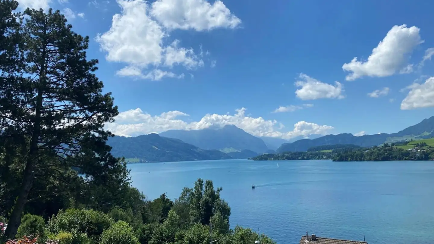 Wohnung mieten - Salzfassstrasse 8a, 6006 Luzern
