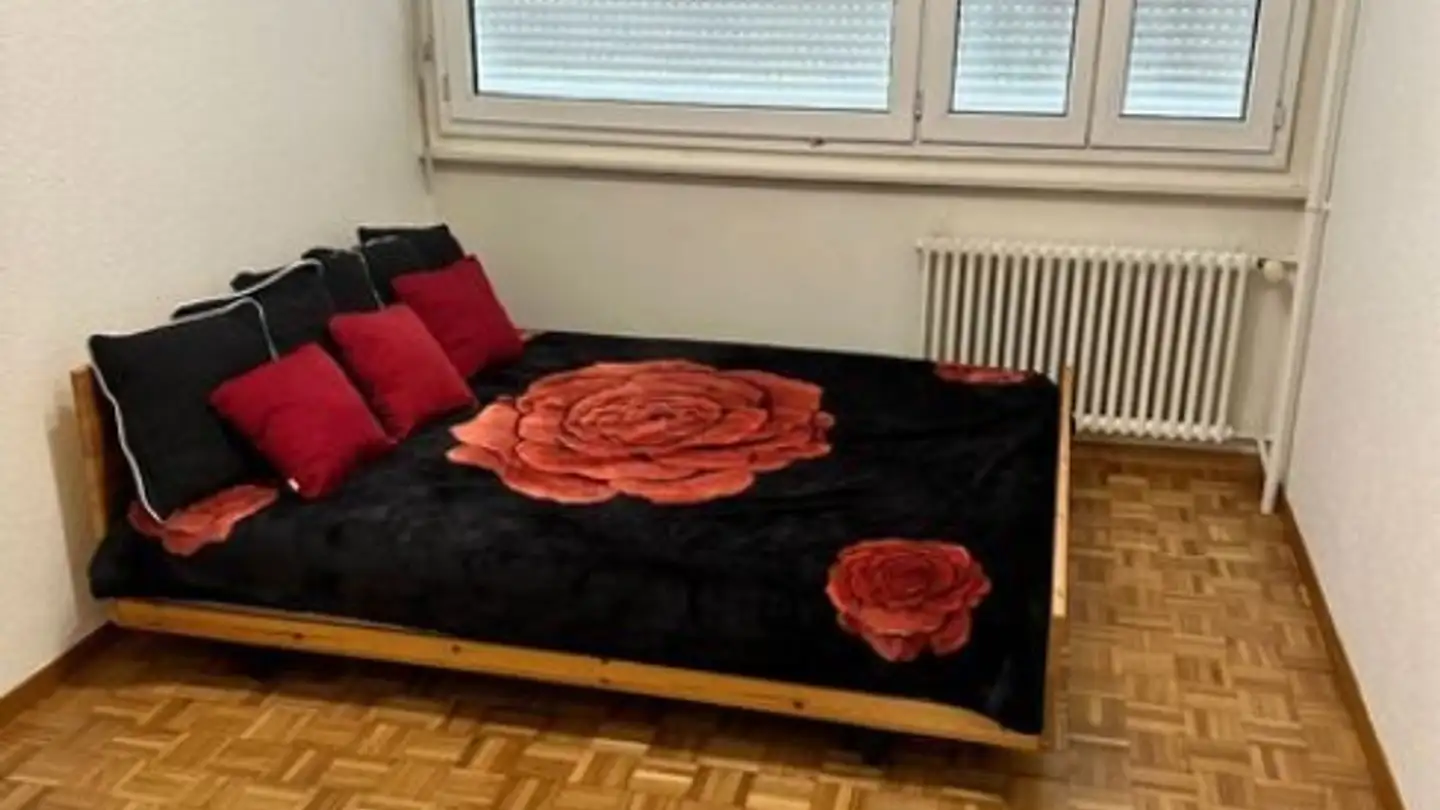 Appartamento in affitto - Route Du Grand-Lancy, 1212 Grand-Lancy - Photo 2