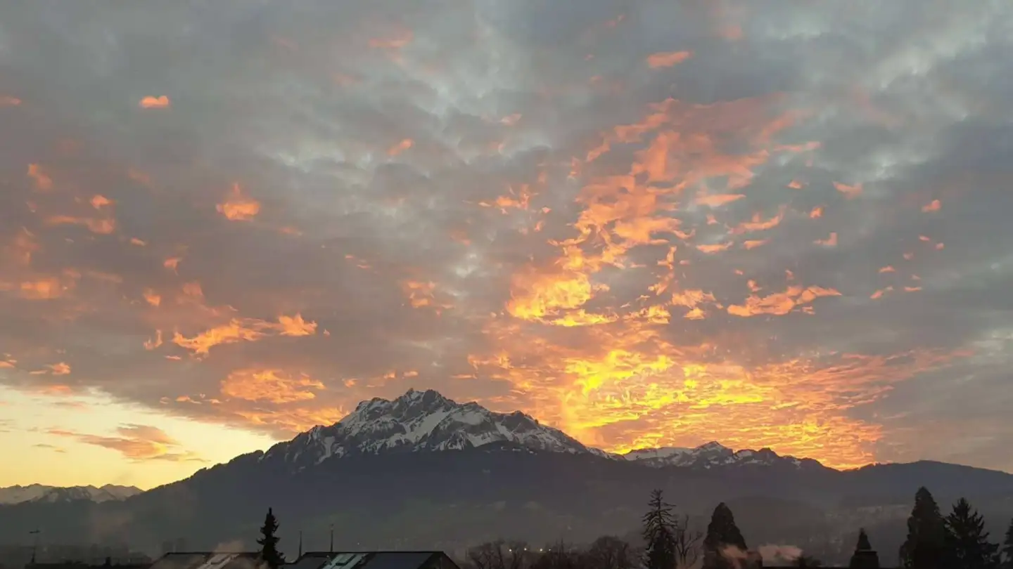 Appartamento in affitto - Liebenauweg 10, 6006 Luzern - Foto 2