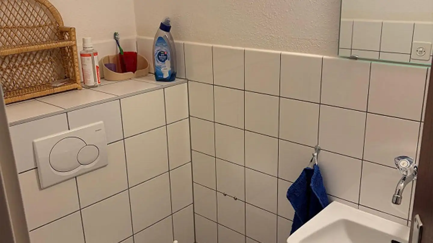 Appartamento in affitto - Gerbestrasse 2, 9242 Oberuzwil - Foto 4