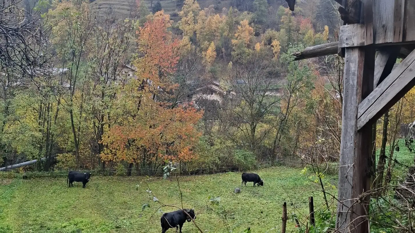 Single house for sale - Route Des Giettes, 1871 Les Giettes - Photo 4