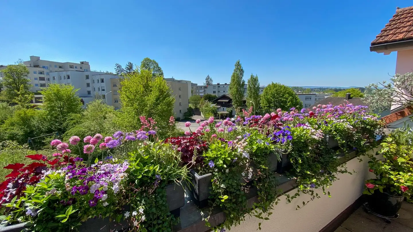 Appartement à louer - 8910 Affoltern am Albis - Photo 3