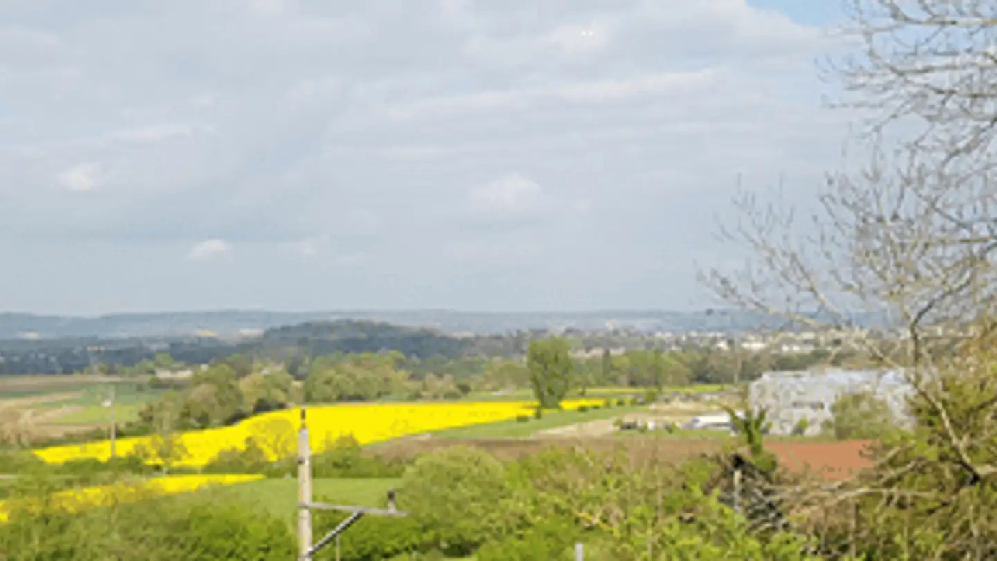 Attique à vendre - 8162 Steinmaur