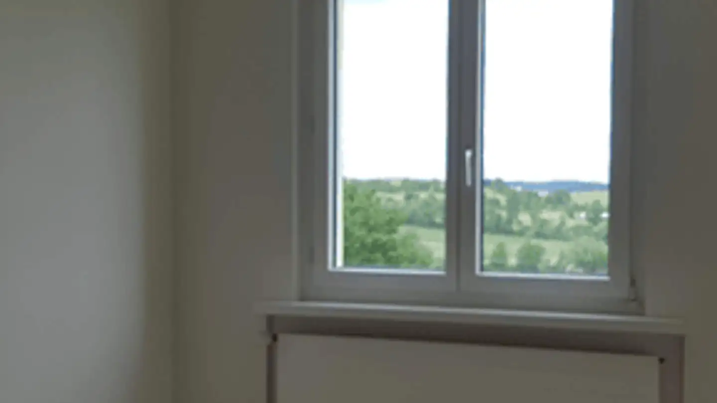 Attique à vendre - 8162 Steinmaur - Photo 3