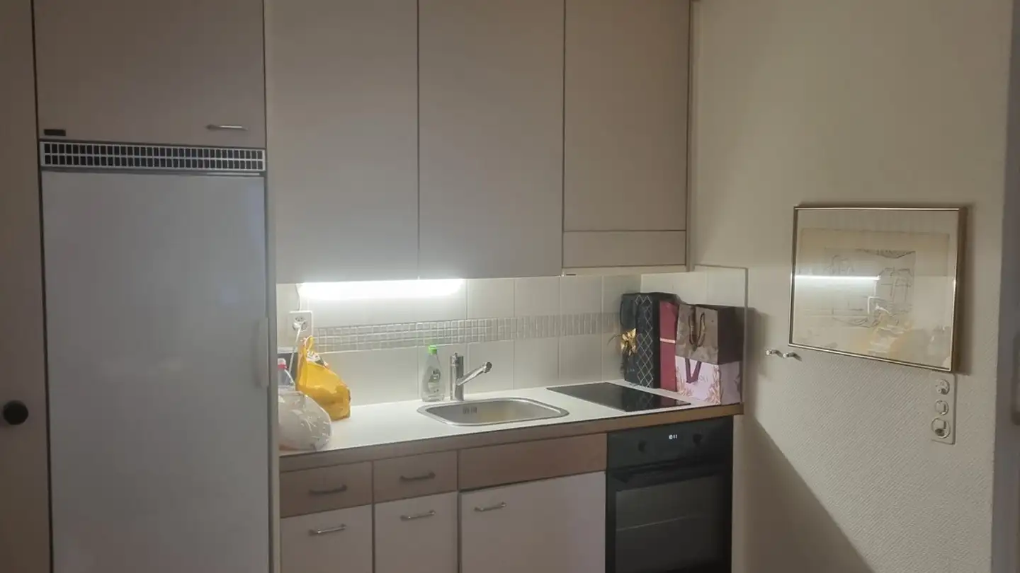 Appartamento in affitto - 8702 Zollikon - Photo 2