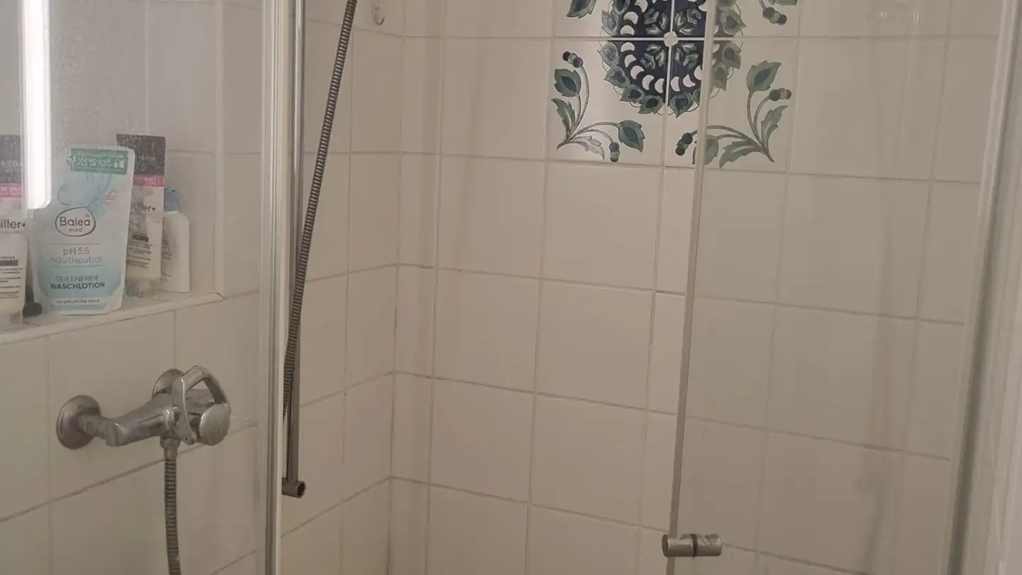 Appartamento in affitto - 8702 Zollikon - Photo 4