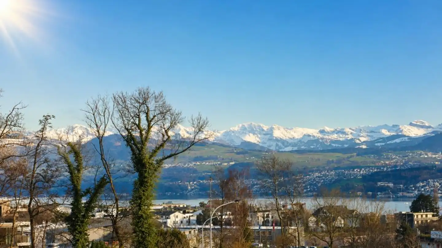 Apartment for sale - Burgstrasse 224, 8706 Meilen