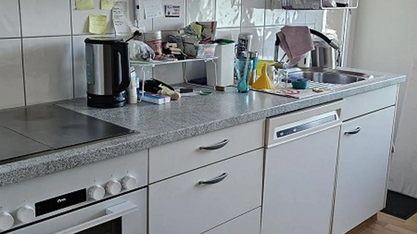 Apartment for rent - Seestrasse 297, 8810 Horgen - Photo 3