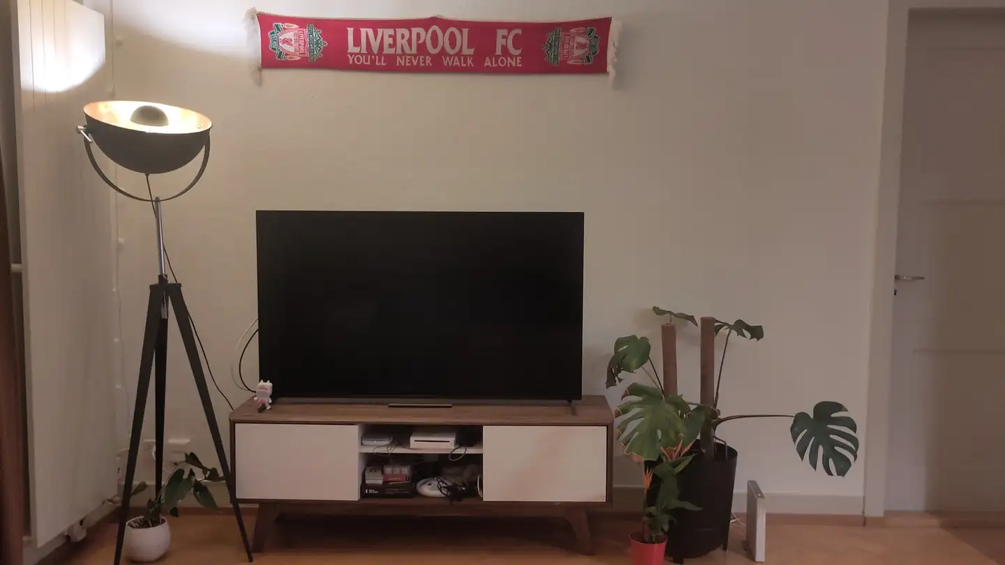 Furnished apartment for rent - Limmattalstrasse, 8049 Zürich - Photo 2