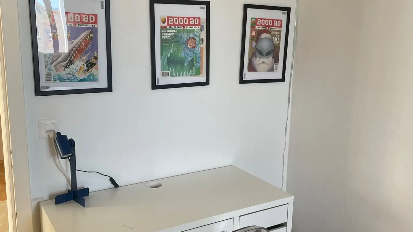 Single room for rent - 1290 Versoix - Photo 3