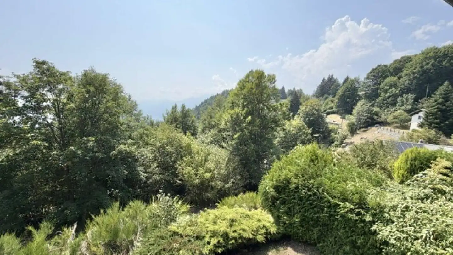 Maison en terrasse à vendre - Sentiero Colmanicchio, 6605 Locarno - Photo 2