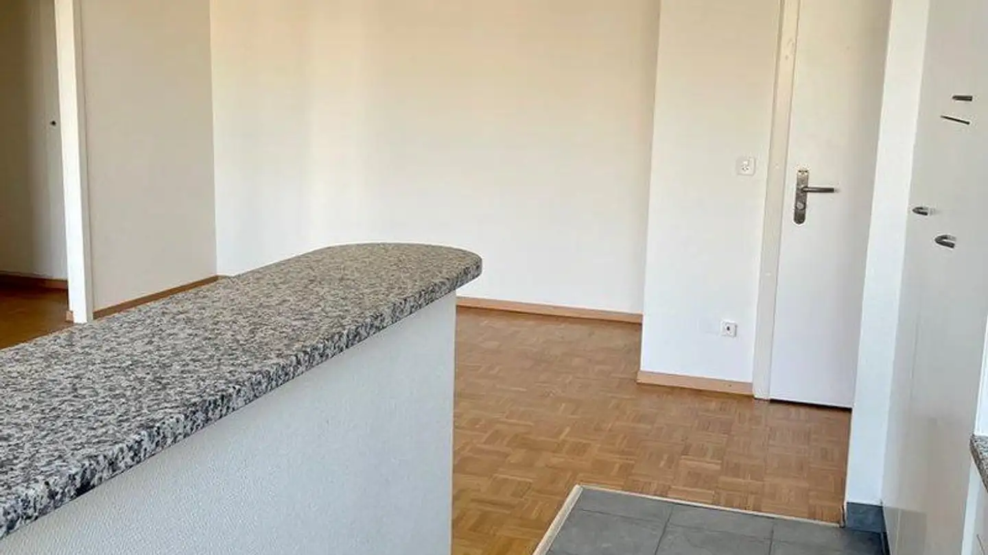 Apartment for rent - Avenue De Châtelaine, 1203 Genève - Photo 3