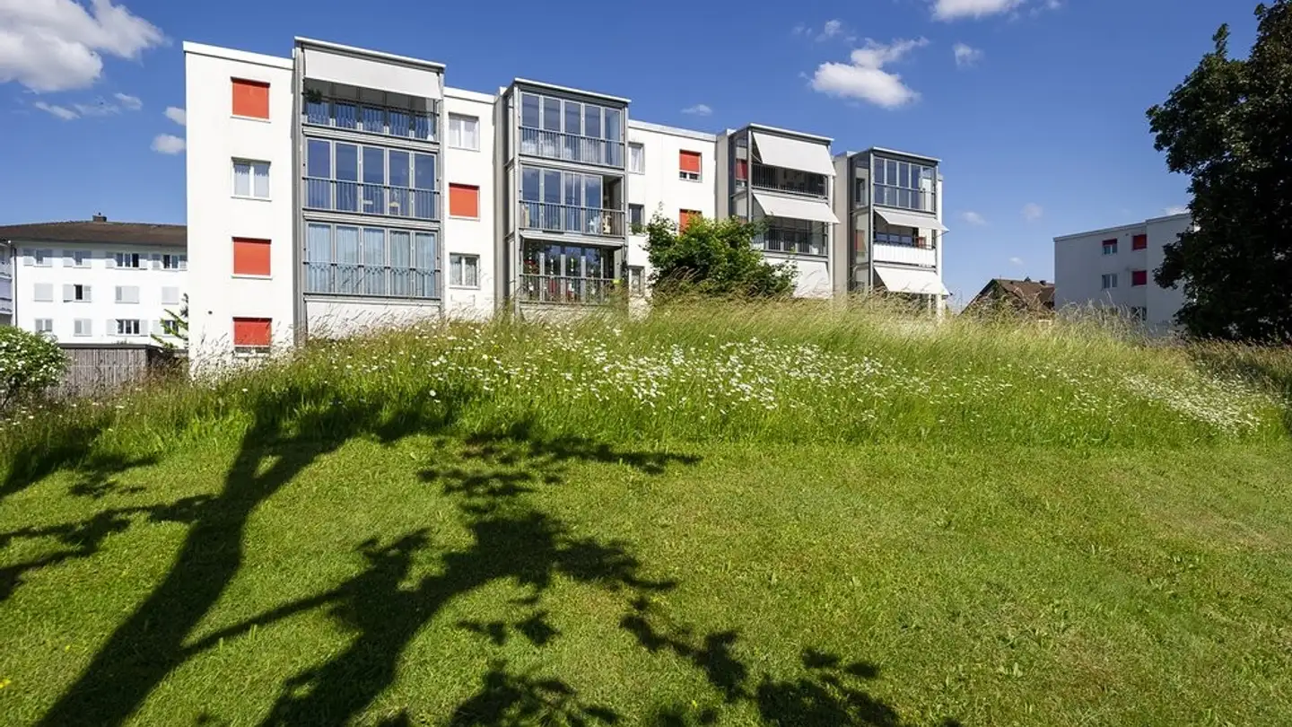 Wohnung mieten - Obere Mühlemattstrasse 52, 4800 Zofingen